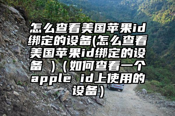 怎么查看美国苹果id绑定的设备(怎么查看美国苹果id绑定的设备 )（如何查看一个apple id上使用的设备）