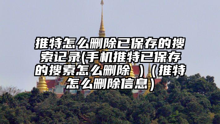 推特怎么删除已保存的搜索记录(手机推特已保存的搜索怎么删除 )（推特怎么删除信息）