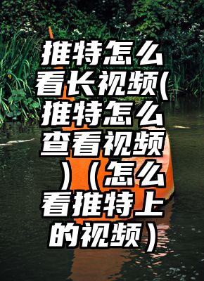 推特怎么看长视频(推特怎么查看视频 )（怎么看推特上的视频）