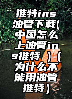 推特ins油管下载(中国怎么上油管ins推特 )（为什么不能用油管推特）