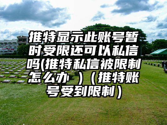 推特显示此账号暂时受限还可以私信吗(推特私信被限制怎么办 )（推特账号受到限制）
