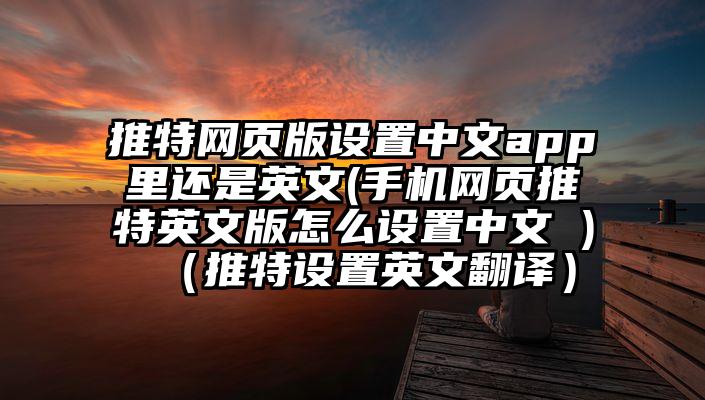 推特网页版设置中文app里还是英文(手机网页推特英文版怎么设置中文 )（推特设置英文翻译）