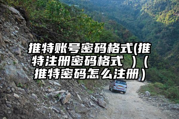 推特账号密码格式(推特注册密码格式 )（推特密码怎么注册）
