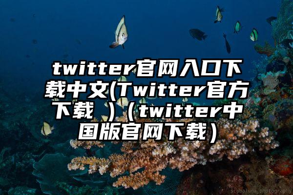 twitter官网入口下载中文(Twitter官方下载 )（twitter中国版官网下载）