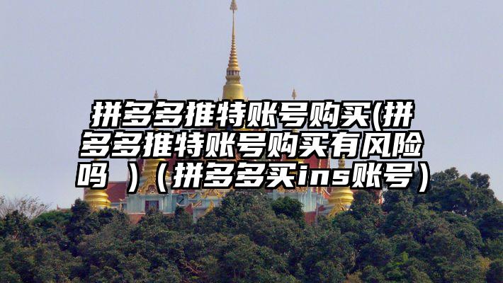 拼多多推特账号购买(拼多多推特账号购买有风险吗 )（拼多多买ins账号）
