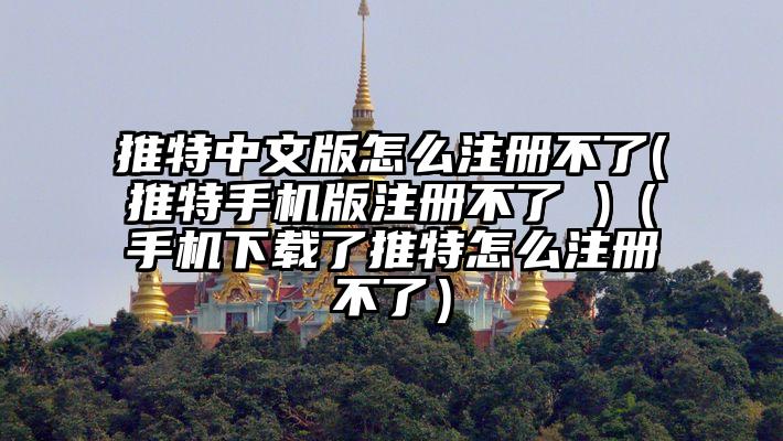推特中文版怎么注册不了(推特手机版注册不了 )（手机下载了推特怎么注册不了）