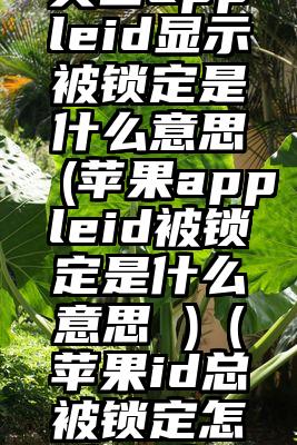 美国appleid显示被锁定是什么意思(苹果appleid被锁定是什么意思 )（苹果id总被锁定怎么回事）