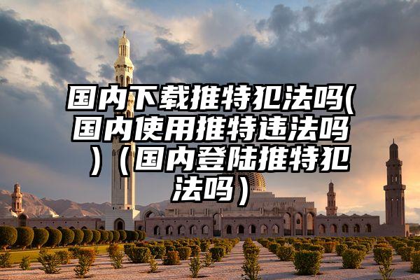 国内下载推特犯法吗(国内使用推特违法吗 )（国内登陆推特犯法吗）