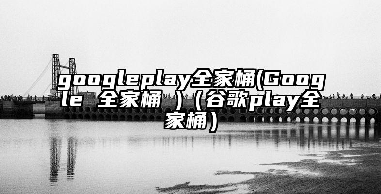 googleplay全家桶(Google 全家桶 )（谷歌play全家桶）