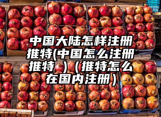 中国大陆怎样注册推特(中国怎么注册推特 )（推特怎么在国内注册）