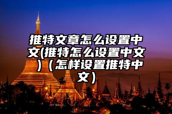 推特文章怎么设置中文(推特怎么设置中文 )（怎样设置推特中文）