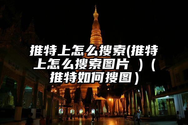 推特上怎么搜索(推特上怎么搜索图片 )（推特如何搜图）