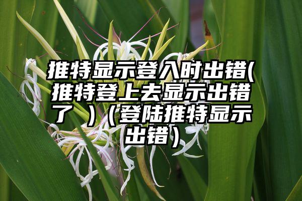 推特显示登入时出错(推特登上去显示出错了 )（登陆推特显示出错）