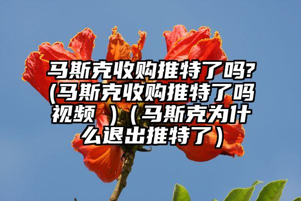 马斯克收购推特了吗?(马斯克收购推特了吗视频 )（马斯克为什么退出推特了）