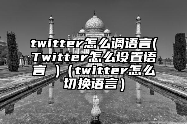 twitter怎么调语言(Twitter怎么设置语言 )（twitter怎么切换语言）