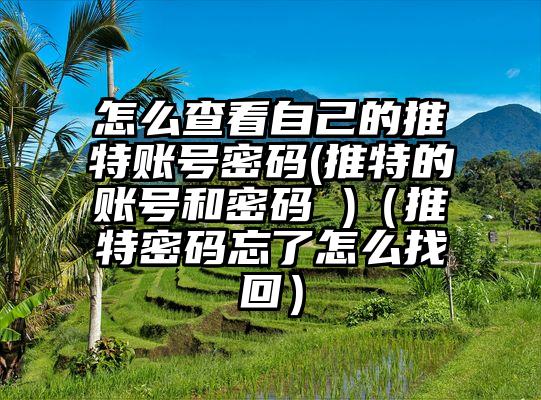 怎么查看自己的推特账号密码(推特的账号和密码 )（推特密码忘了怎么找回）