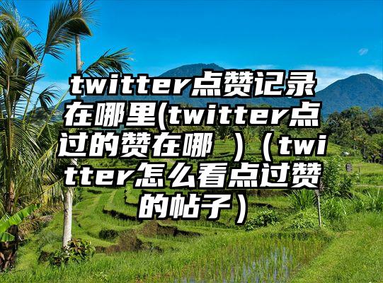 twitter点赞记录在哪里(twitter点过的赞在哪 )（twitter怎么看点过赞的帖子）