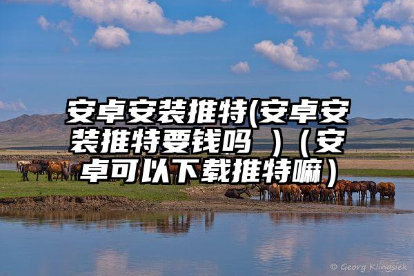 安卓安装推特(安卓安装推特要钱吗 )（安卓可以下载推特嘛）
