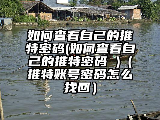 如何查看自己的推特密码(如何查看自己的推特密码 )（推特账号密码怎么找回）