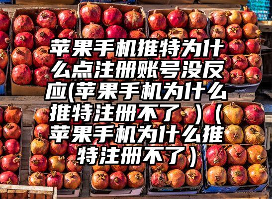 苹果手机推特为什么点注册账号没反应(苹果手机为什么推特注册不了 )（苹果手机为什么推特注册不了）