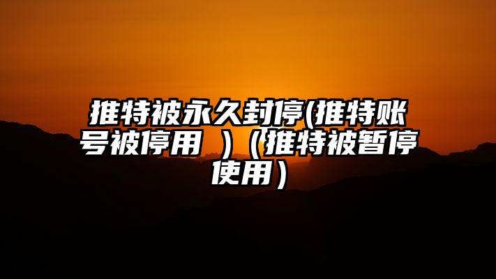 推特被永久封停(推特账号被停用 )（推特被暂停使用）