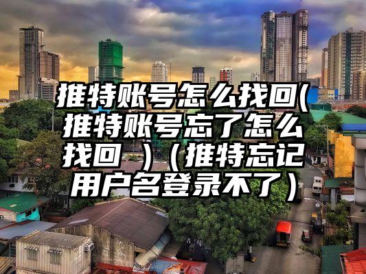 推特账号怎么找回(推特账号忘了怎么找回 )（推特忘记用户名登录不了）