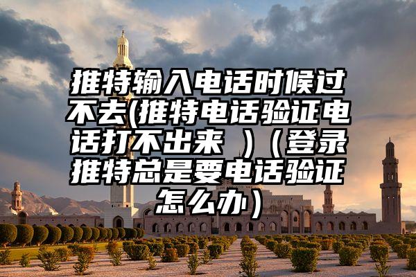 推特输入电话时候过不去(推特电话验证电话打不出来 )（登录推特总是要电话验证怎么办）