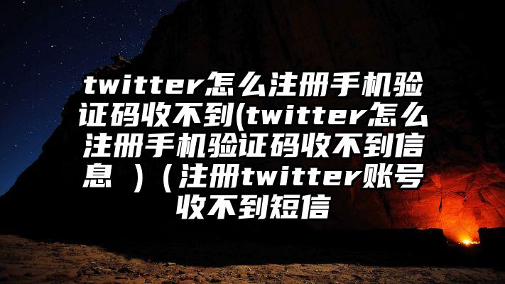 twitter怎么注册手机验证码收不到(twitter怎么注册手机验证码收不到信息 )（注册twitter账号收不到短信