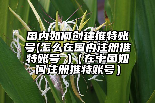 国内如何创建推特账号(怎么在国内注册推特账号 )（在中国如何注册推特账号）
