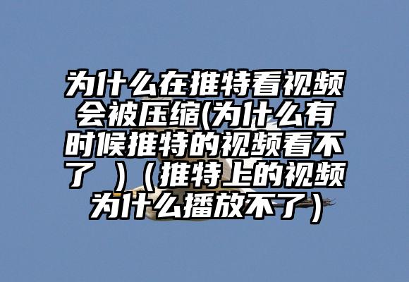 为什么在推特看视频会被压缩(为什么有时候推特的视频看不了 )（推特上的视频为什么播放不了）