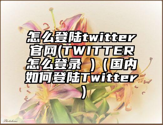 怎么登陆twitter官网(TWITTER怎么登录 )（国内如何登陆Twitter）