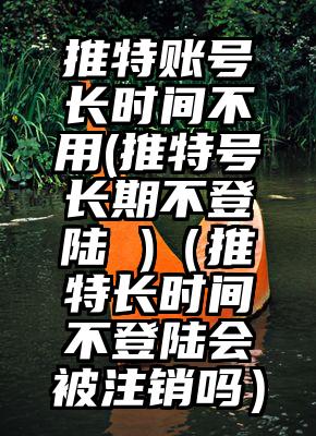 推特账号长时间不用(推特号长期不登陆 )（推特长时间不登陆会被注销吗）
