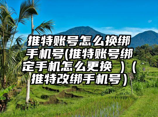推特账号怎么换绑手机号(推特账号绑定手机怎么更换 )（推特改绑手机号）