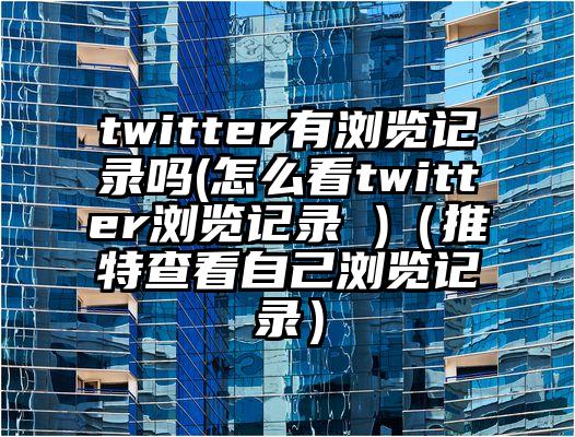 twitter有浏览记录吗(怎么看twitter浏览记录 )（推特查看自己浏览记录）