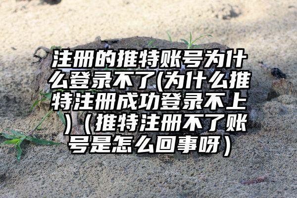 注册的推特账号为什么登录不了(为什么推特注册成功登录不上 )（推特注册不了账号是怎么回事呀）