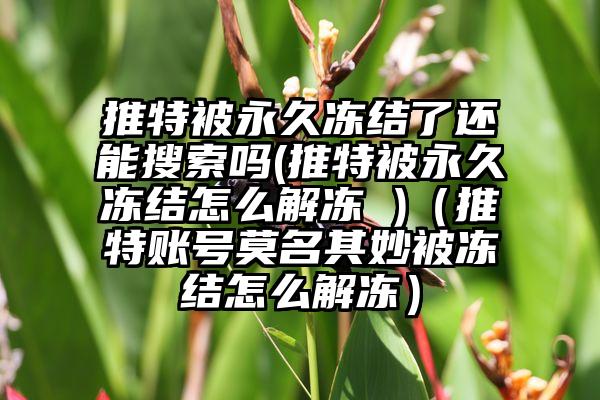 推特被永久冻结了还能搜索吗(推特被永久冻结怎么解冻 )（推特账号莫名其妙被冻结怎么解冻）