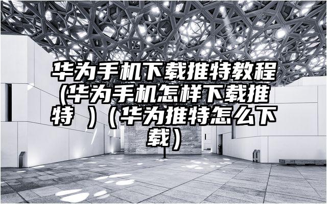华为手机下载推特教程(华为手机怎样下载推特 )（华为推特怎么下载）