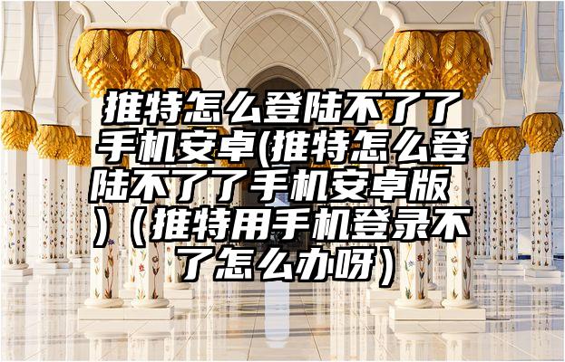 推特怎么登陆不了了手机安卓(推特怎么登陆不了了手机安卓版 )（推特用手机登录不了怎么办呀）