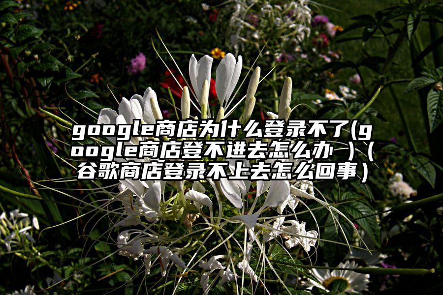 google商店为什么登录不了(google商店登不进去怎么办 )（谷歌商店登录不上去怎么回事）