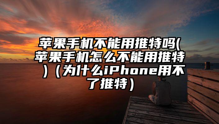 苹果手机不能用推特吗(苹果手机怎么不能用推特 )（为什么iPhone用不了推特）
