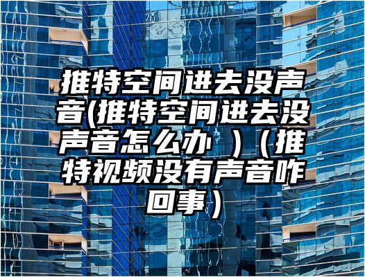 推特空间进去没声音(推特空间进去没声音怎么办 )（推特视频没有声音咋回事）
