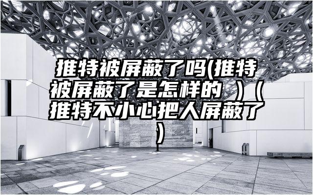 推特被屏蔽了吗(推特被屏蔽了是怎样的 )（推特不小心把人屏蔽了）