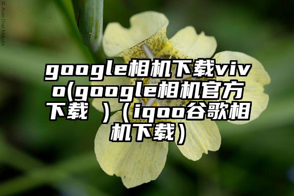 google相机下载vivo(google相机官方下载 )（iqoo谷歌相机下载）
