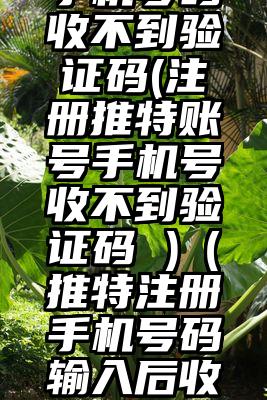 推特注册手机号码收不到验证码(注册推特账号手机号收不到验证码 )（推特注册手机号码输入后收不到验证码）