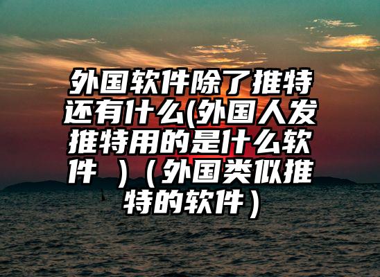 外国软件除了推特还有什么(外国人发推特用的是什么软件 )（外国类似推特的软件）