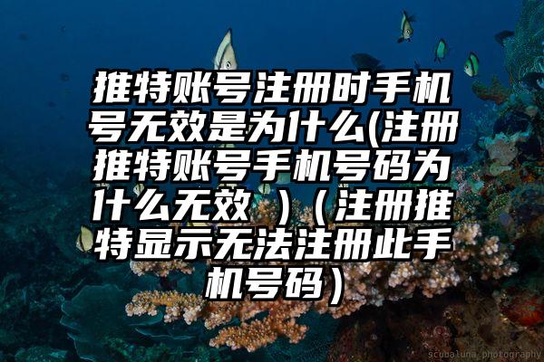 推特账号注册时手机号无效是为什么(注册推特账号手机号码为什么无效 )（注册推特显示无法注册此手机号码）