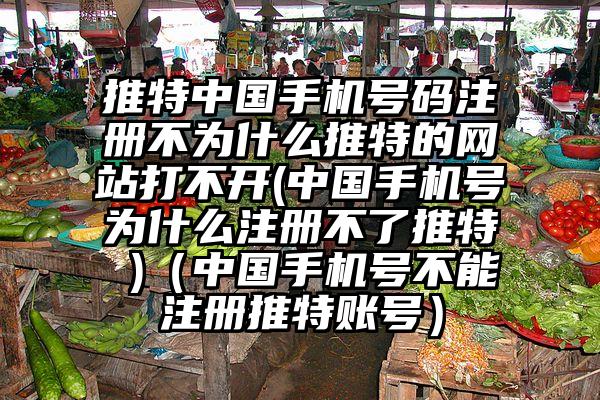 推特中国手机号码注册不为什么推特的网站打不开(中国手机号为什么注册不了推特 )（中国手机号不能注册推特账号）