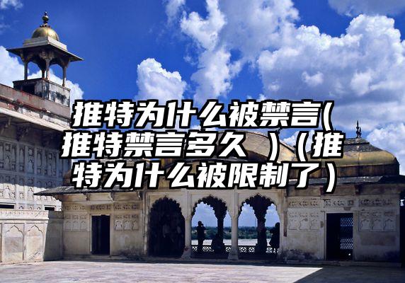 推特为什么被禁言(推特禁言多久 )（推特为什么被限制了）