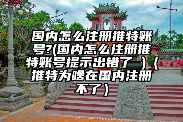 国内怎么注册推特账号?(国内怎么注册推特账号提示出错了 )（推特为啥在国内注册不了）