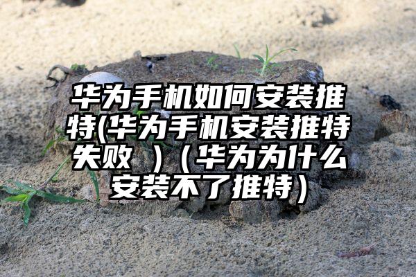 华为手机如何安装推特(华为手机安装推特失败 )（华为为什么安装不了推特）